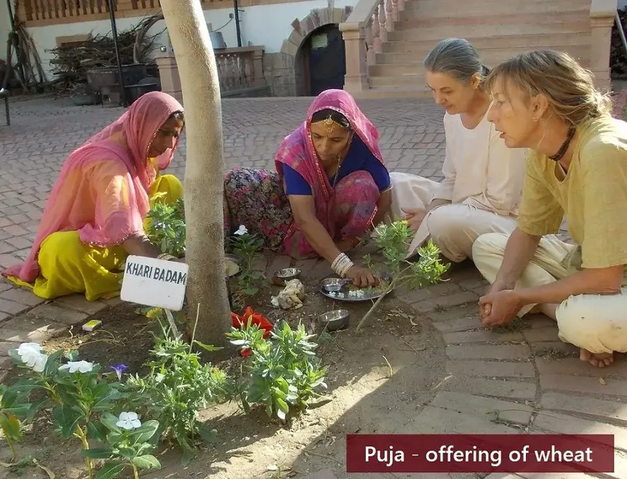 the-day-of-shitala-devi bodyImage